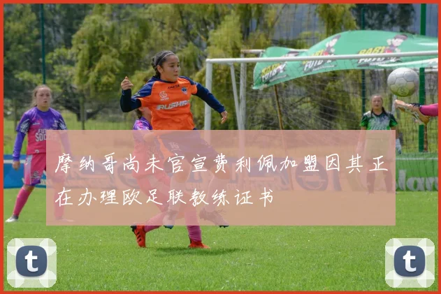 摩纳哥尚未官宣费利佩加盟因其正在办理欧足联教练证书